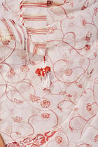 Liz Organza Saree view 6