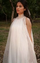 Elizabeth Sheer Pleated Dress With Slip view 4