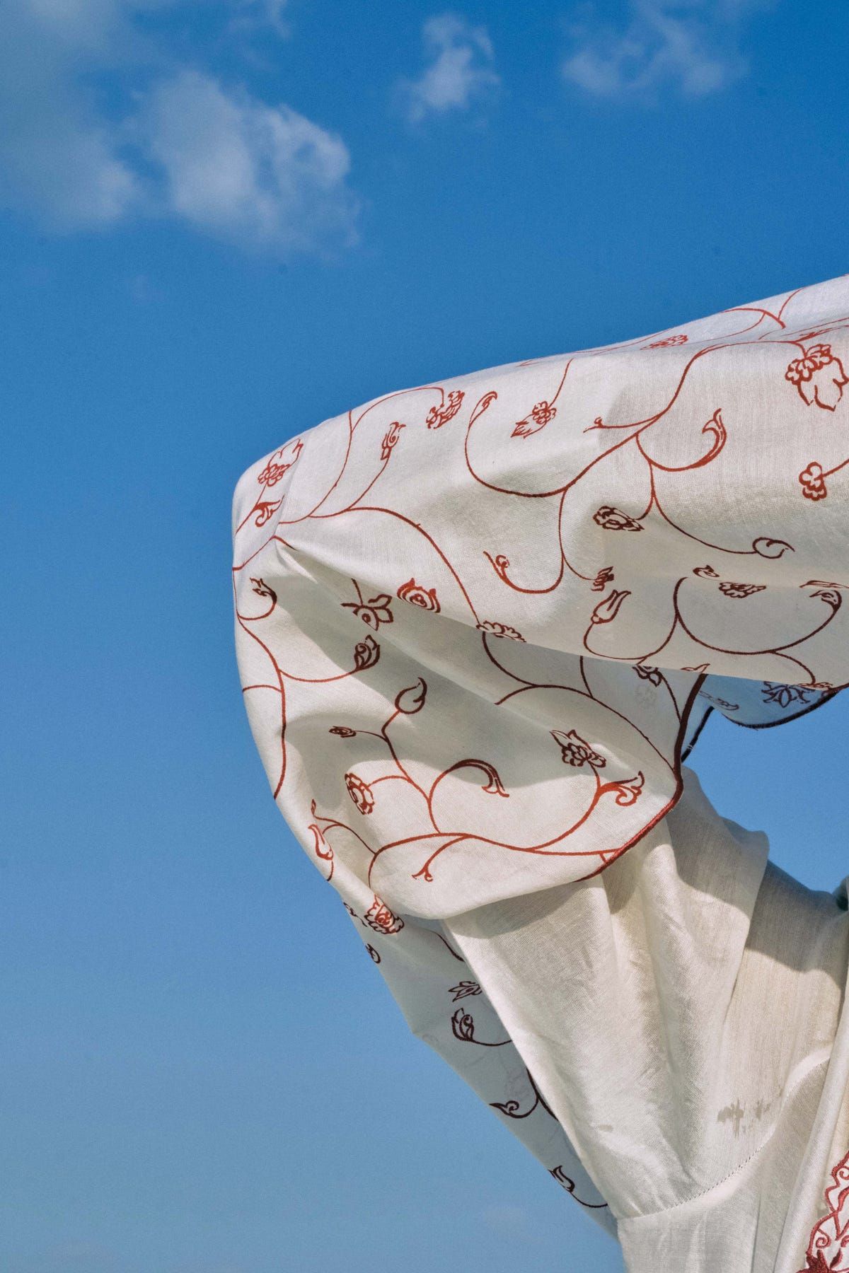 Ithaa Chanderi Scarf - image 5