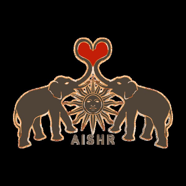 AISHR The Store — Aishr Original Illustration for Commercial one-time use