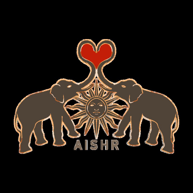 Aishr Original Illustration for Commercial one-time use