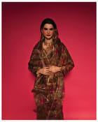 Shanku Saree view 1
