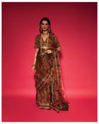 Shanku Saree view 3