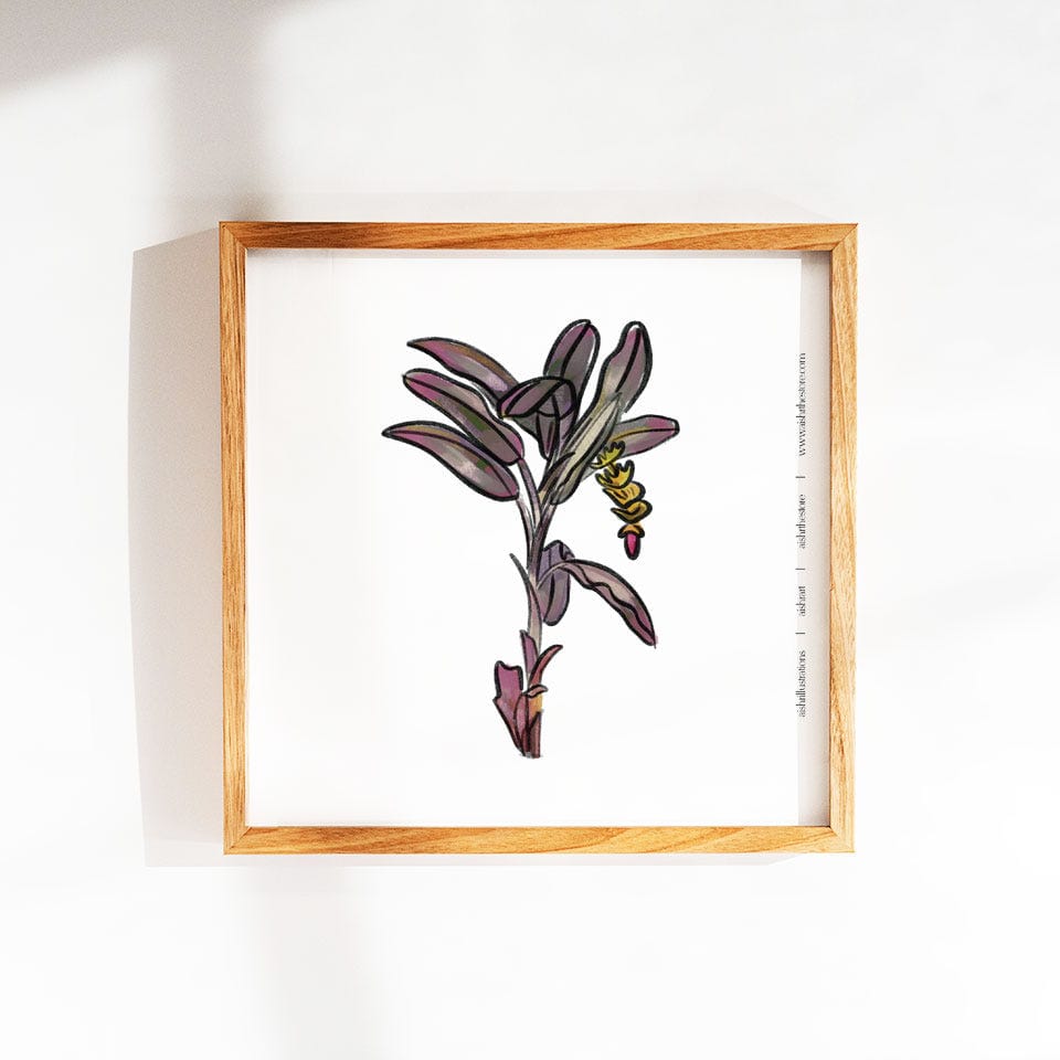 Tree 1 - image 1