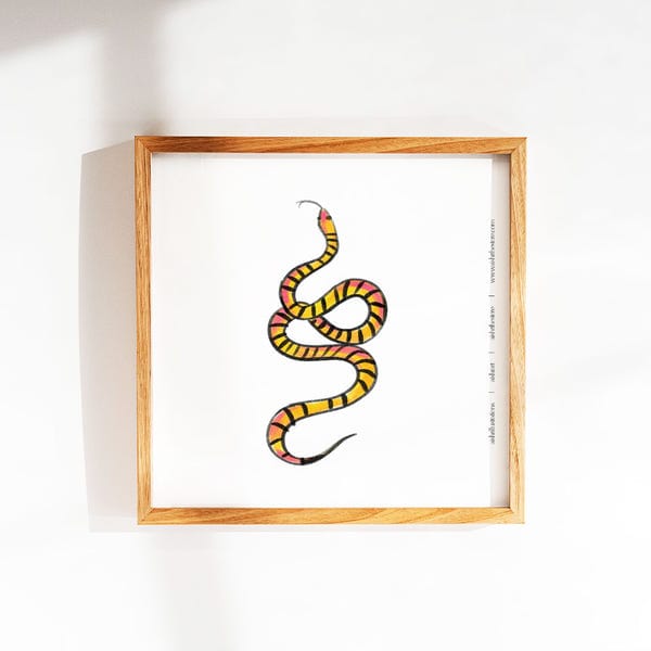 AISHR The Store — Snake 3