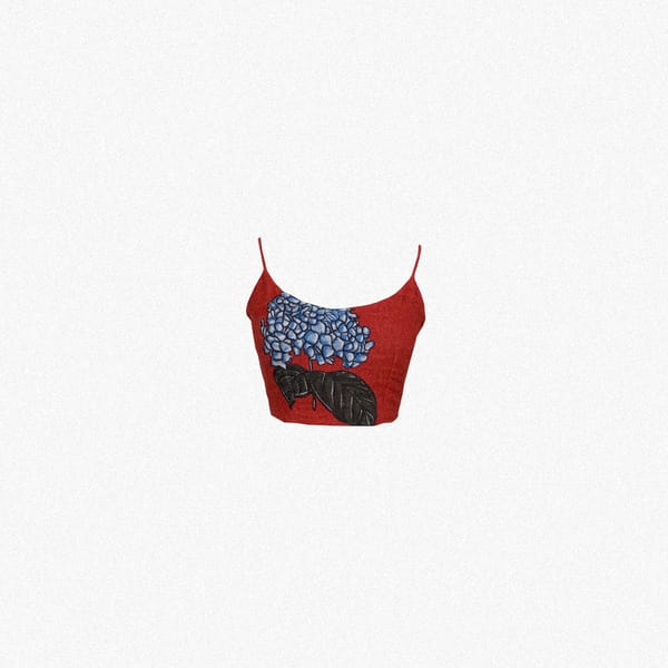 AISHR The Store — Idly Poov Fitted Top