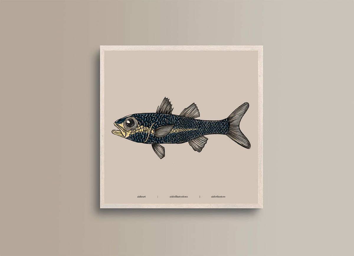 Seaside Creature 5 - image 1