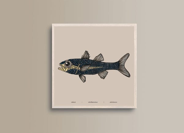 AISHR The Store — Seaside Creature 5