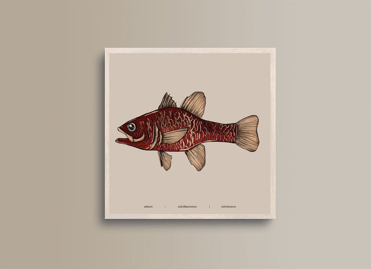 Seaside Creature 1 - image 1