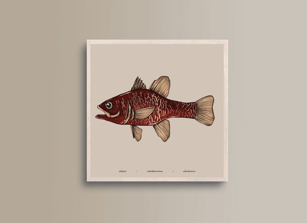 AISHR The Store — Seaside Creature 1