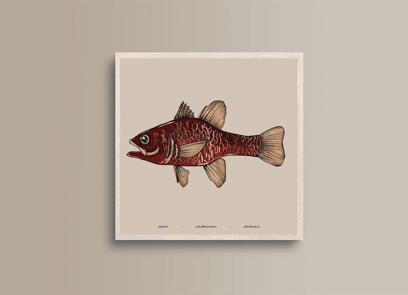 Seaside Creature 1
