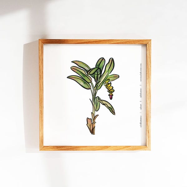 AISHR The Store — Tree 2