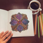 Colouring Book for Adults : Garden of Joy view 6