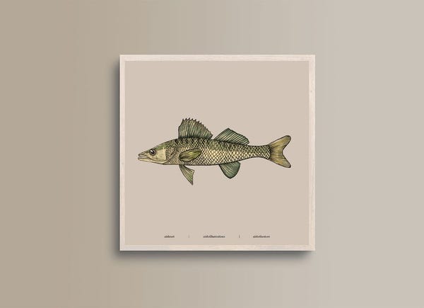 AISHR The Store — Seaside Creature 7