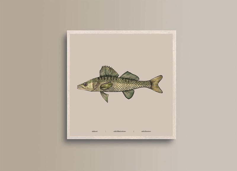 Seaside Creature 7