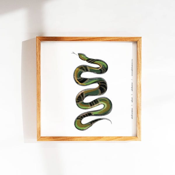 AISHR The Store — Snake 2