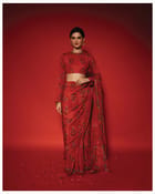 Mallepūvu Saree view 3