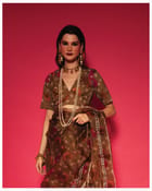 Shanku Blouse Top view 1