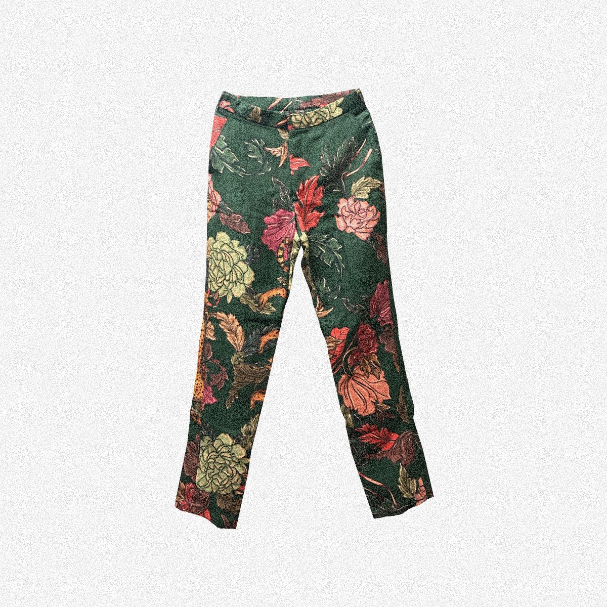 Bhoomi Pant - image 3