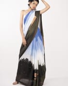 Quiet Land Saree view 3
