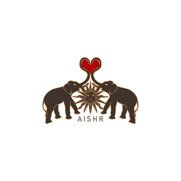 AISHR The Store — Commercial Illustration - Copyright free (Super Heavy)