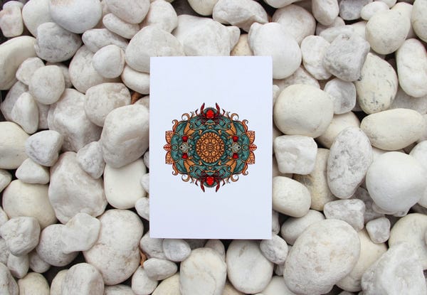 AISHR The Store — Crab Notebook