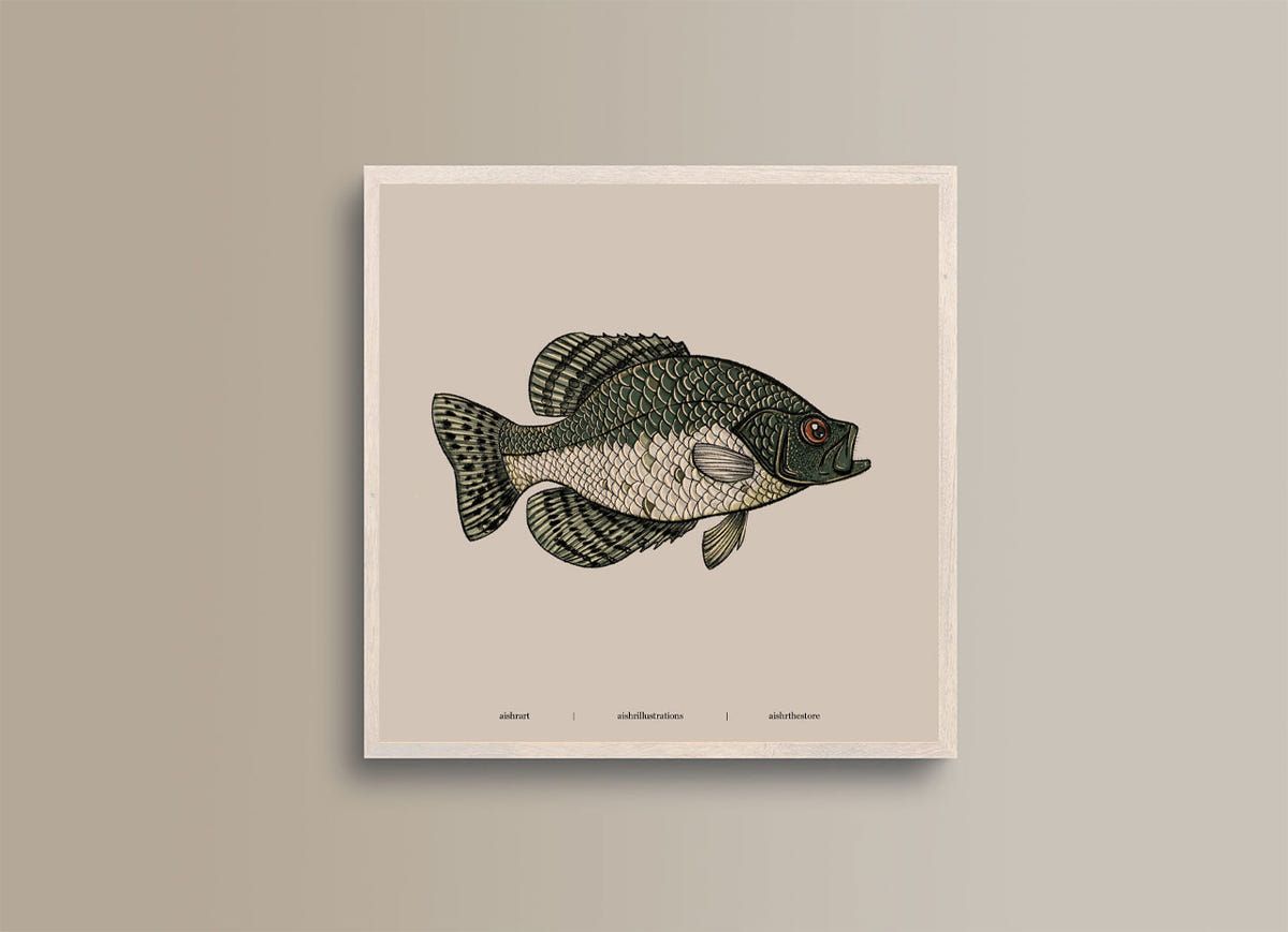 Seaside Creature 4 - image 1