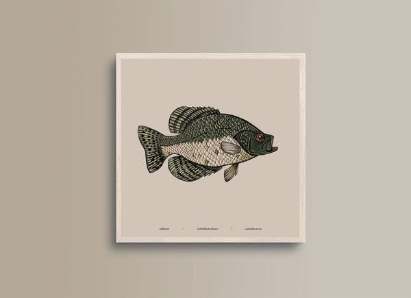 AISHR The Store — Seaside Creature 4