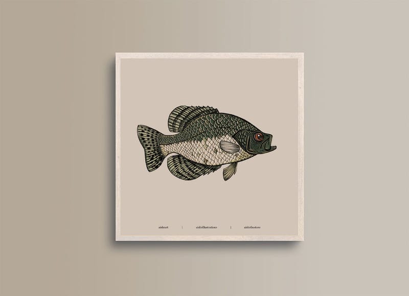 Seaside Creature 4