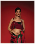 Paneer Rose Tank Blouse Top view 2
