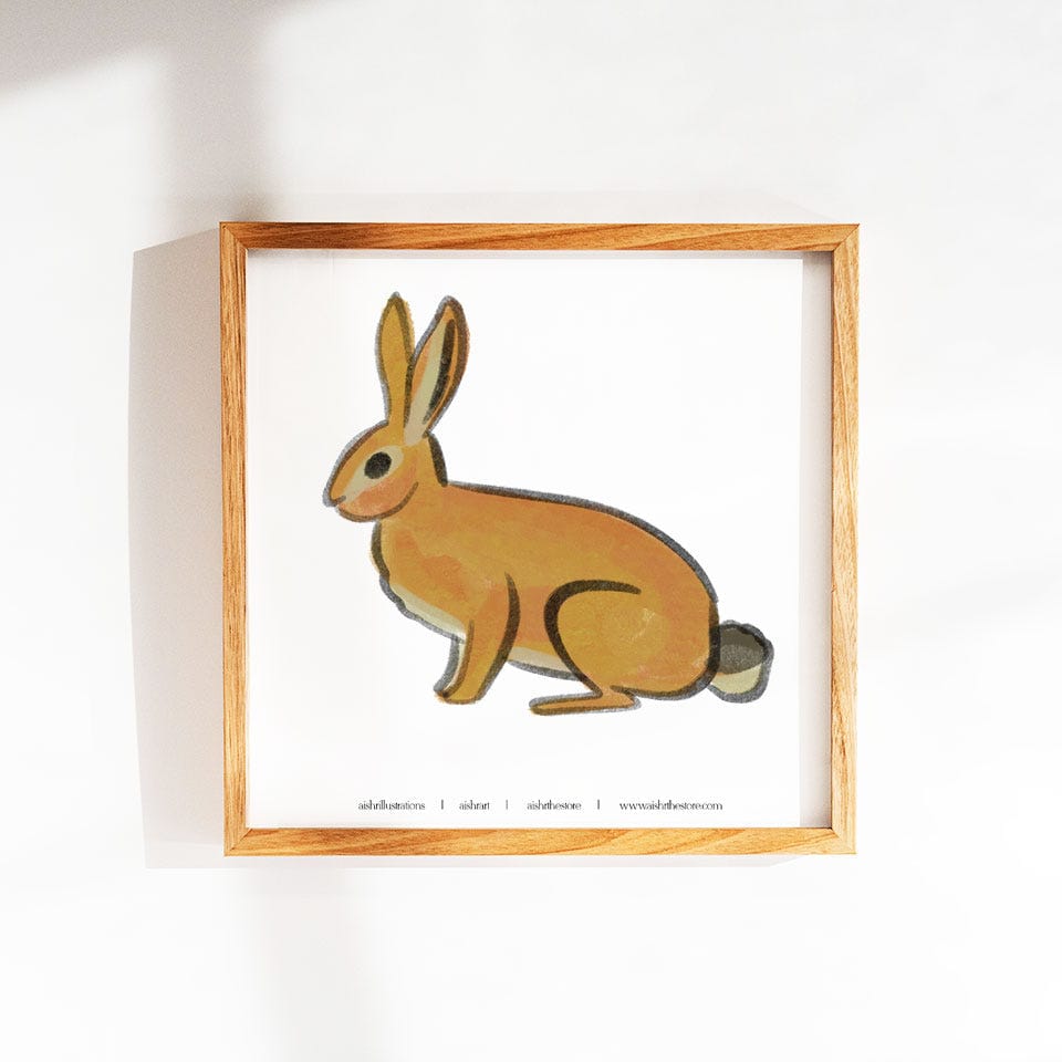 Rabbit 1 - image 1