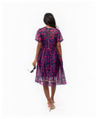 Ooty Sheer Dress view 2