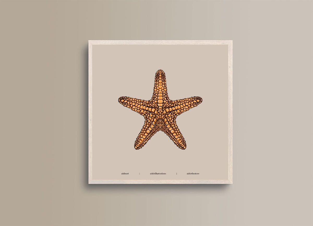 Seaside Creature 3 - image 1