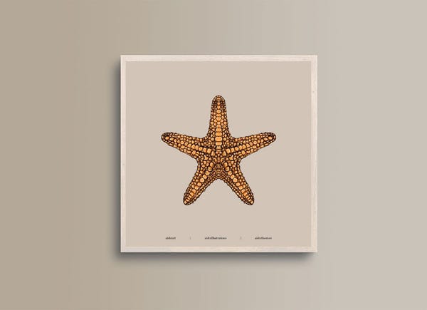AISHR The Store — Seaside Creature 3