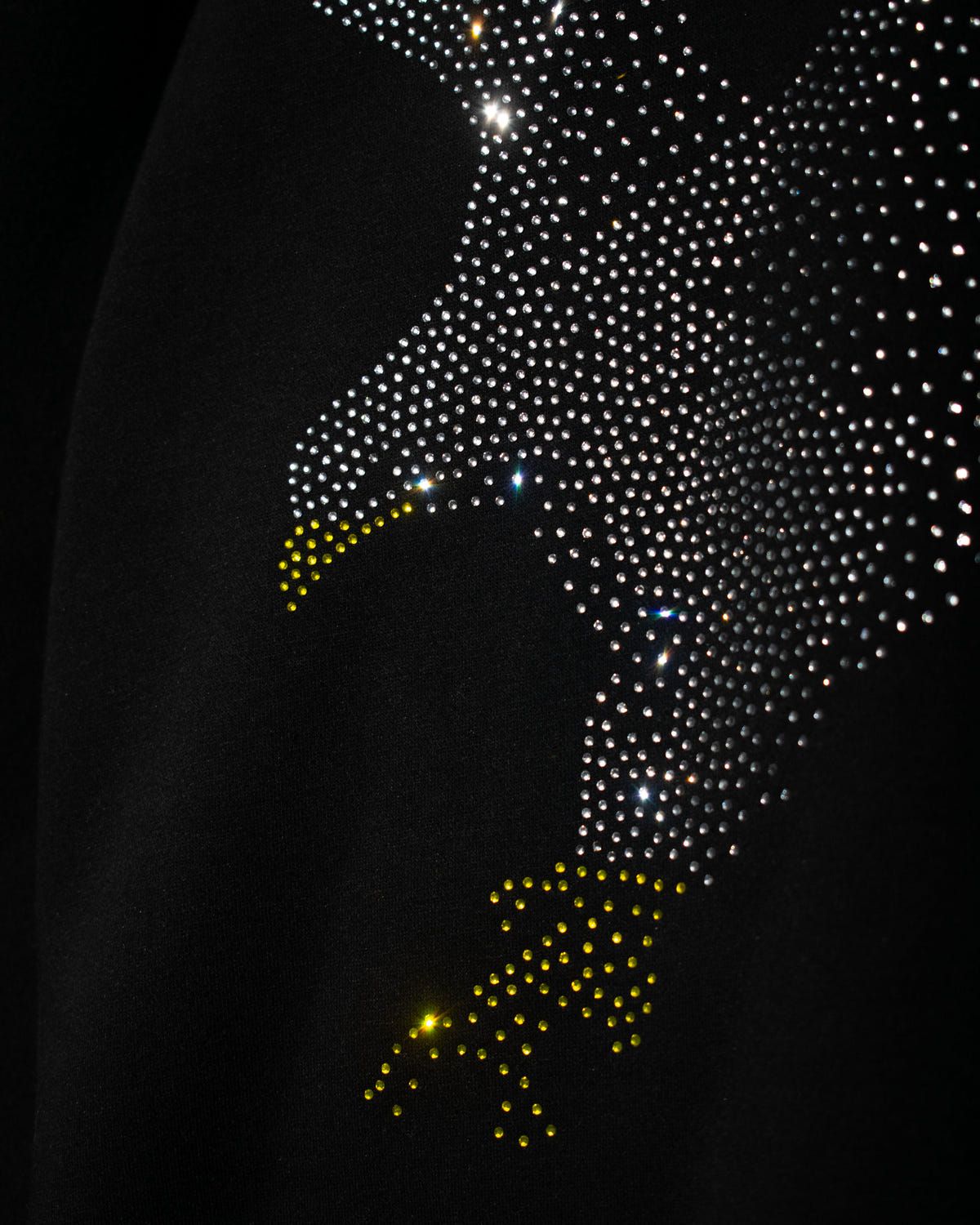 STARLIT EAGLE HOODIE - image 2