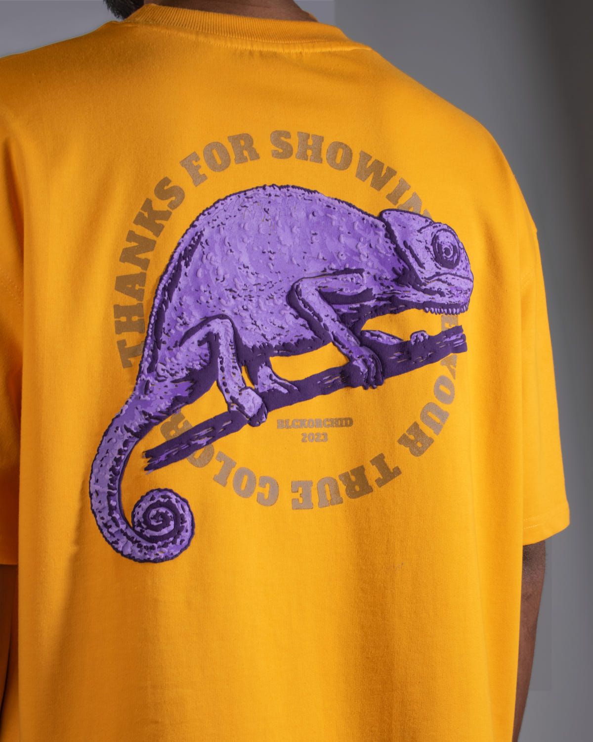 Chameleon T-Shirt Mustard - image 1