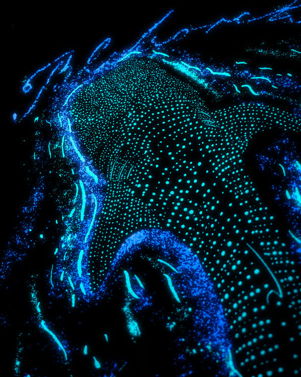 Blckorchid — A GLOWING OCEAN T-SHIRT [GLOW IN DARK]