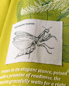 THE PRAYING MANTIS T-SHIRT view 5