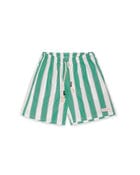 Wide Striped Boxer Shorts view 1