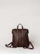 Framed Backpack view 5