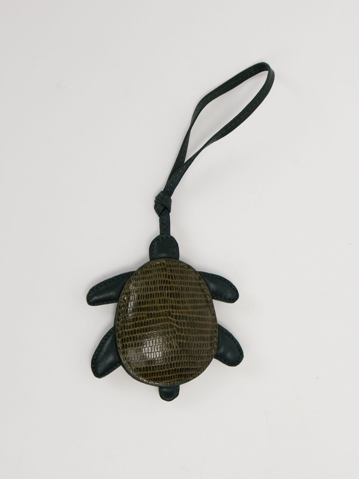 Shelly - image 3