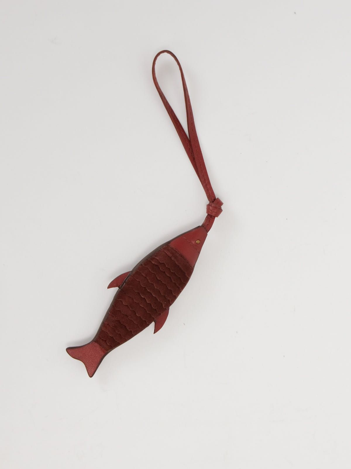 Nemo - image 5