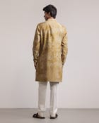 Dust Print Silk Kurta view 2