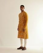 DNA Embroidered Kurta Set view 5