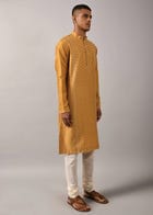 Chevron Hand Embroidered Kurta Set view 3