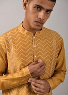 Chevron Hand Embroidered Kurta Set view 5