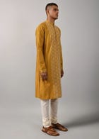 Dhruvtara Hand Embroidered Kurta Set view 3