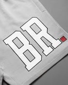 Varsity Shorts Grey view 4