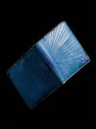 CHAMELEON WALLET 3.0: BLUEBERRY view 3