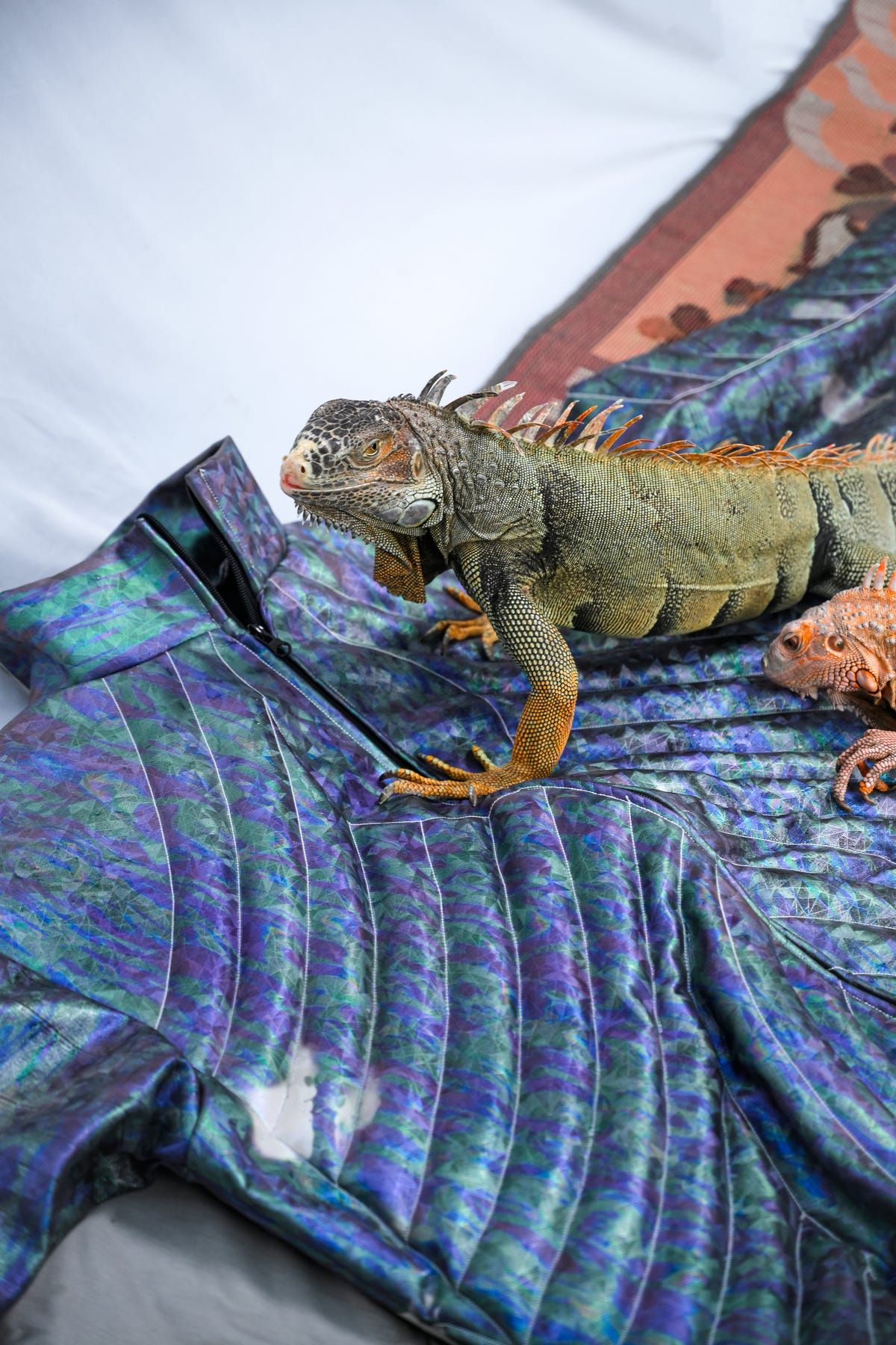 THERMOCHROMIC JACKET: CELESTIAL VARIANT (UNISEX) - image 2